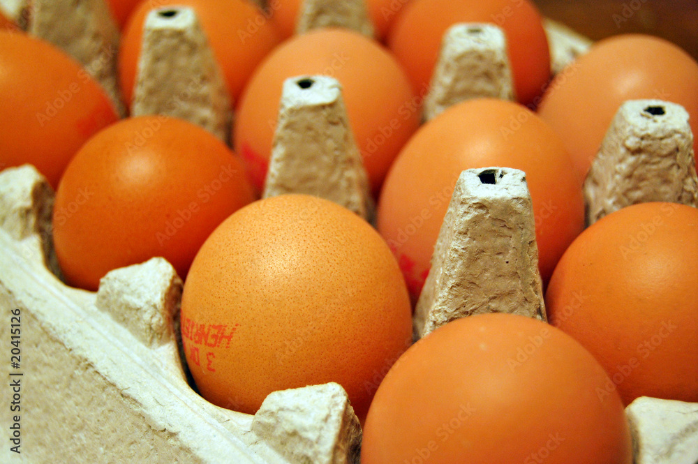 Oeufs Oeufs