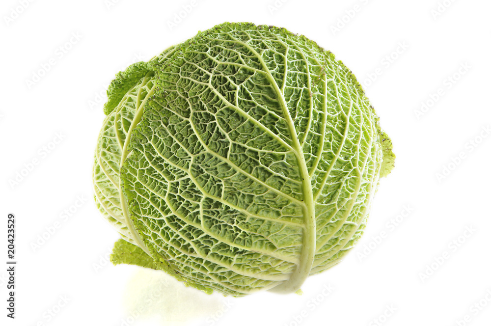 Head cabbage Head cabbage