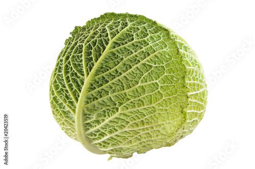 Head cabbage