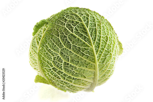 Head cabbage