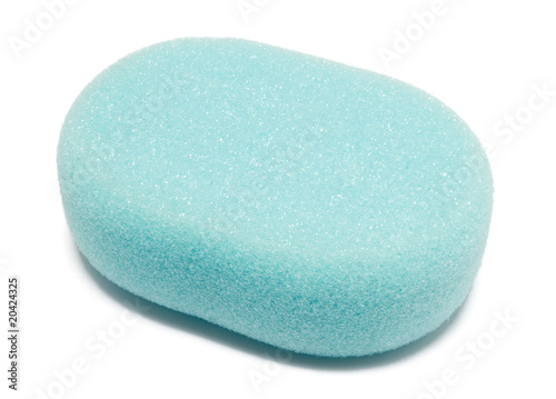 sponge