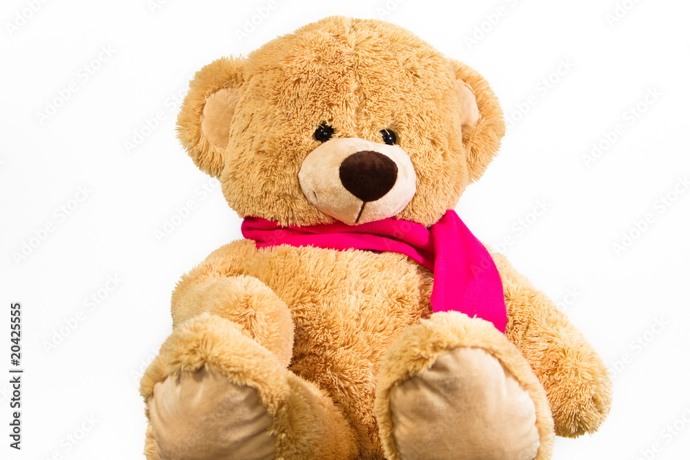 Obraz premium Teddy mit Schal