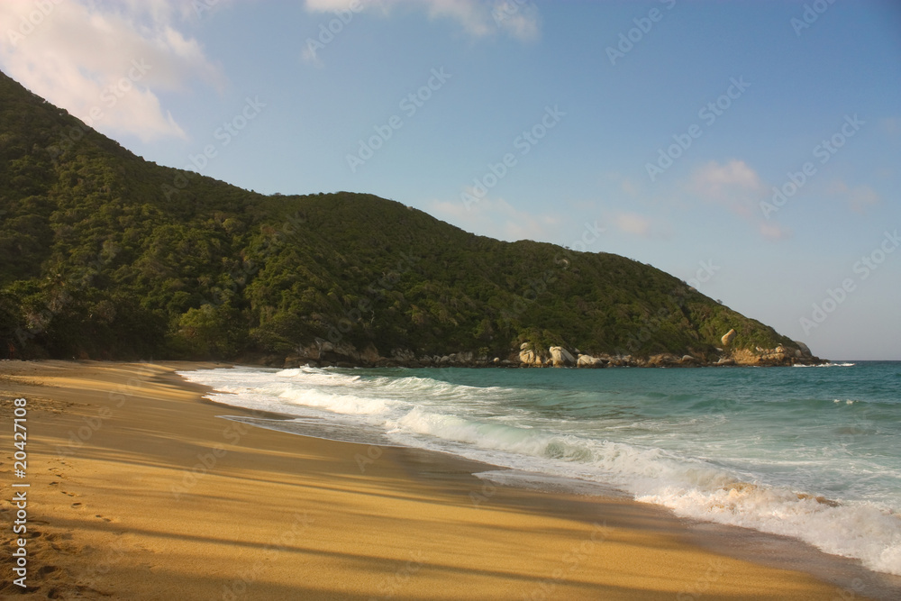Caribbean beach with tropical forest. Tayrona National Park