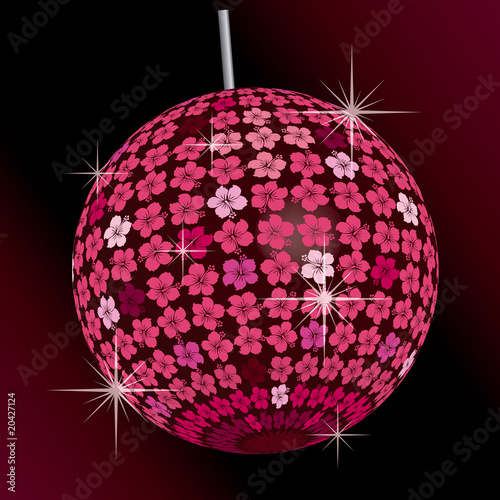 Hibiscus Mirrorbal
