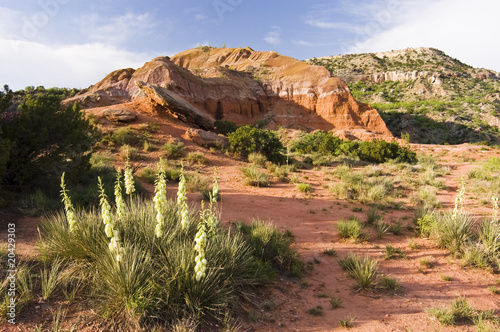 Palo Duro Canyon