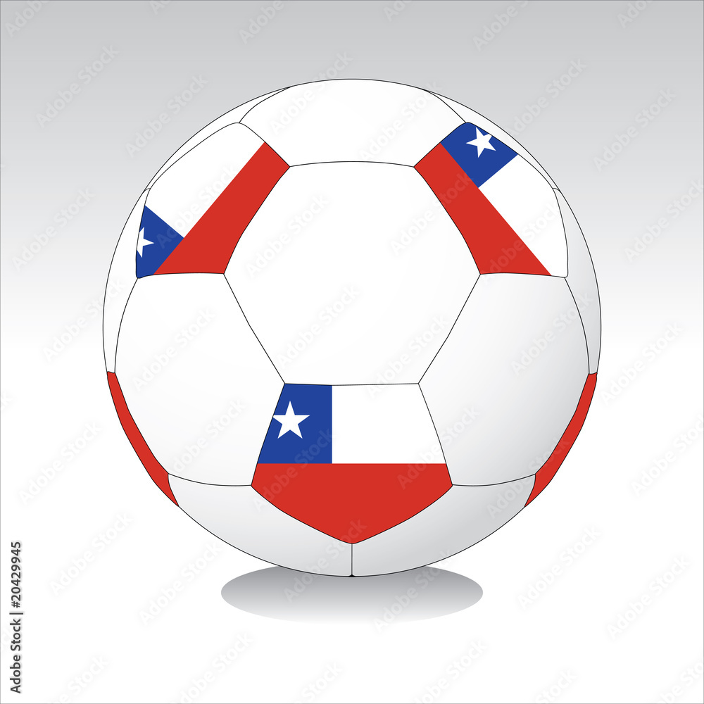 Obraz premium soccer ball vector #32