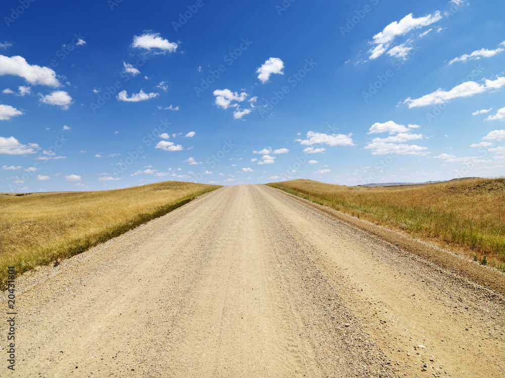 Fototapeta premium Rural Dirt Road Through Grassland