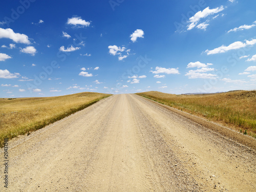 Rural Dirt Road Through Grassland