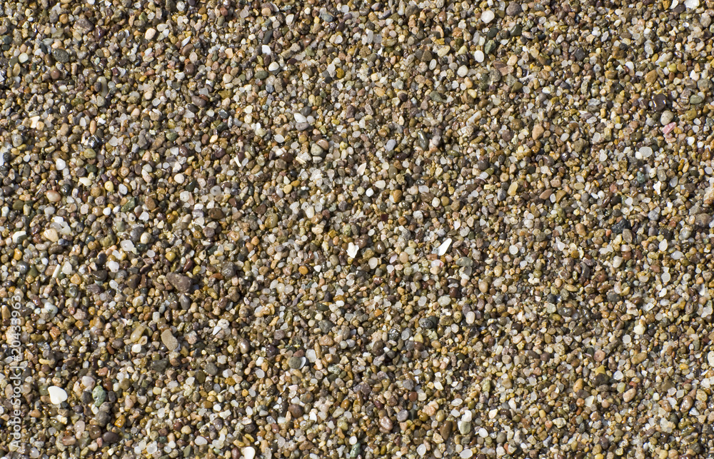 Pebbles on a Pacific Ocean shore Pebbles on a Pacific Ocean shore