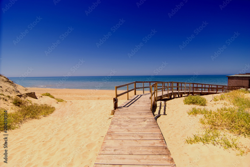 Obraz premium Droga na plażę