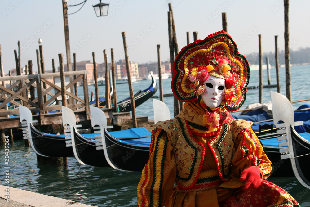 Obraz premium Venice Carnival