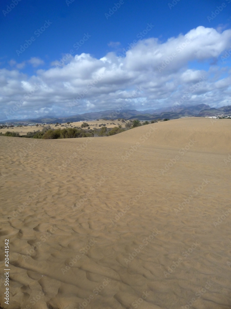 Scenic View Of Maspalomas Dunes