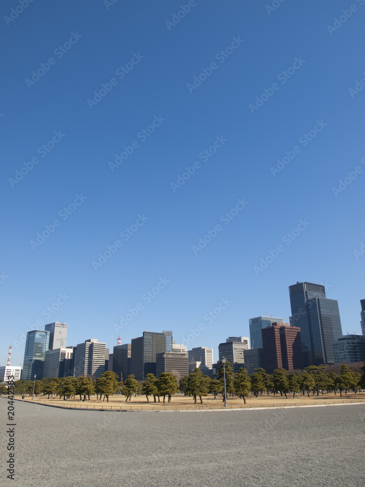 Obraz premium High rise buildings in Marunouchi, Tokyo, Japan