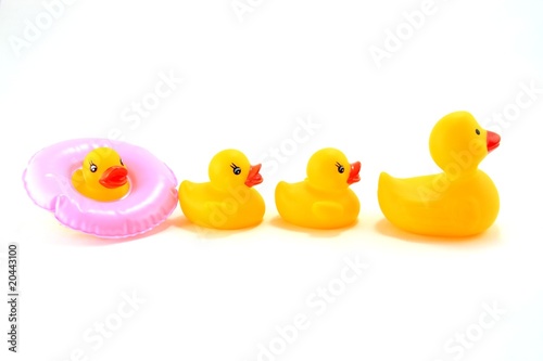 Ducks going swimming