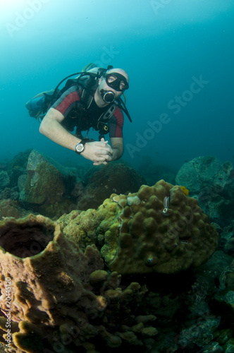 male Scuba diver swimming