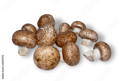 Mushrooms are champignons