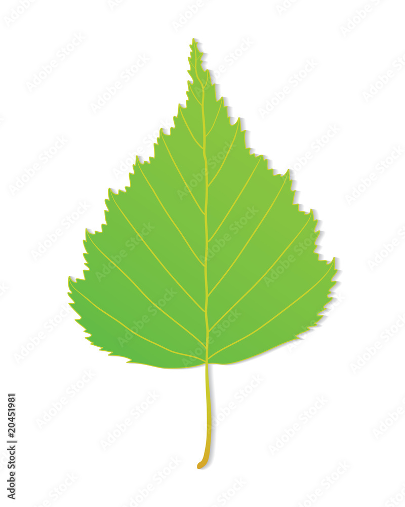 Vector Leaf Vector Leaf