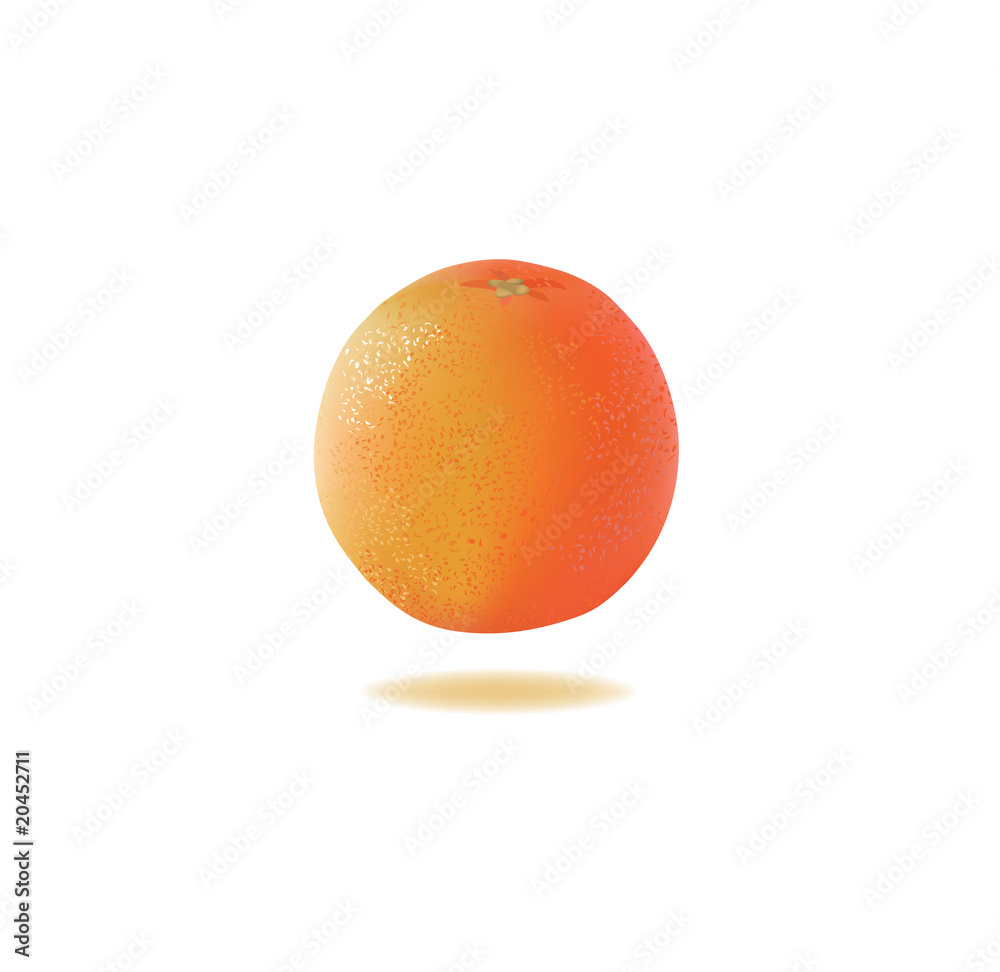 orange vector illustration orange vector illustration