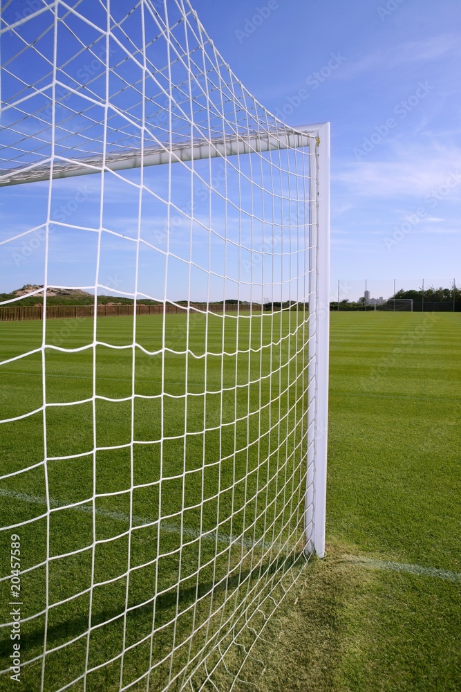 Fototapeta premium Net soccer goal football green grass field