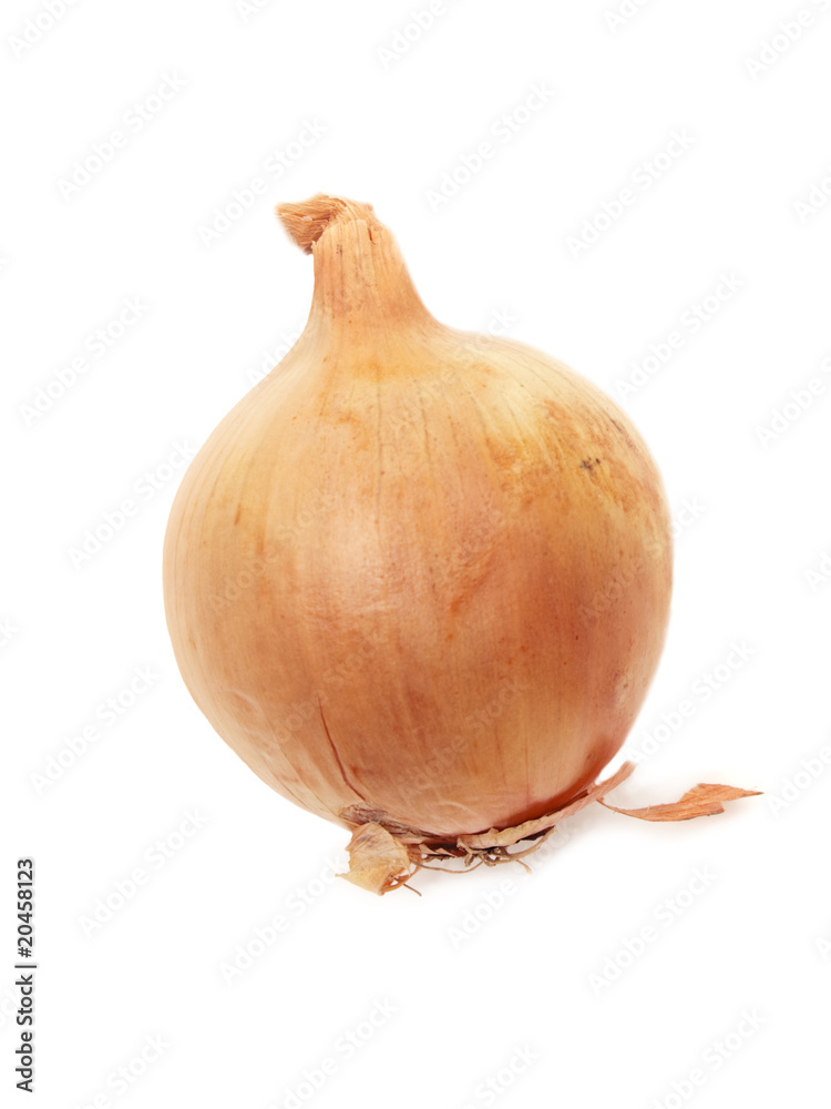 Golden raw onion isolated on white