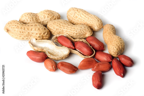 Peanuts isolated on white