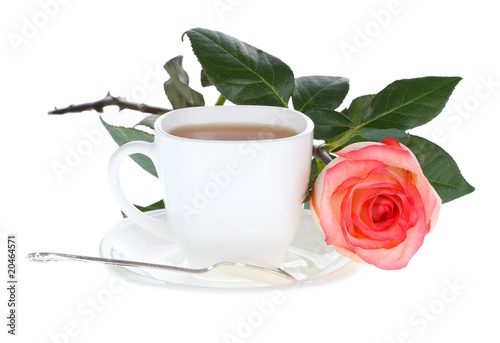 red white rose and cup of tea