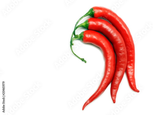 Chili peppers isolated on white