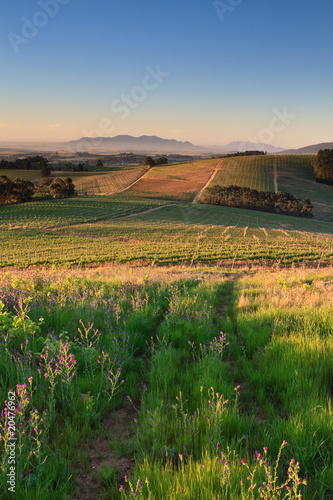 Winelands
