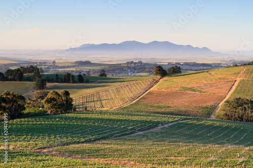 Winelands