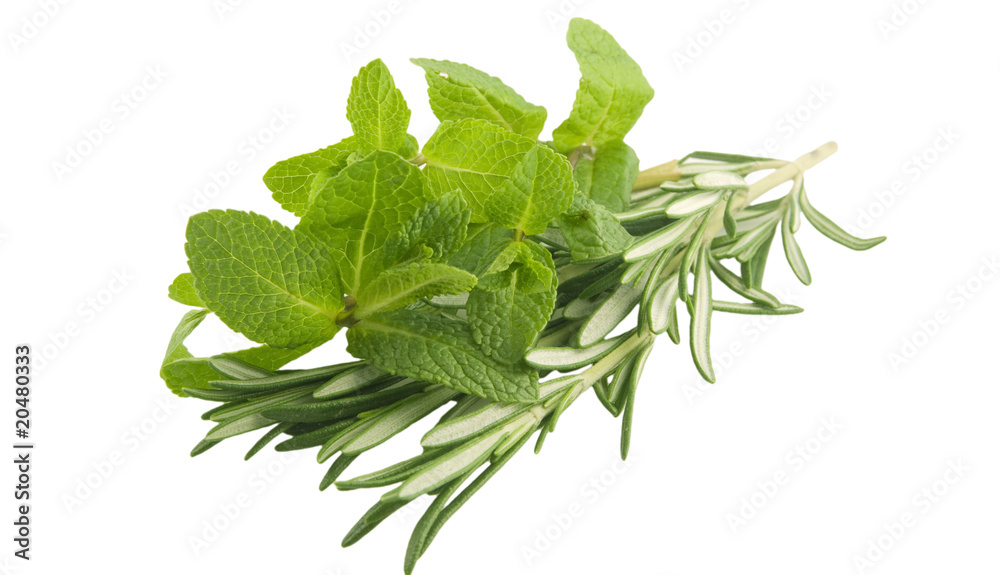 Obraz premium Mint and rosemary