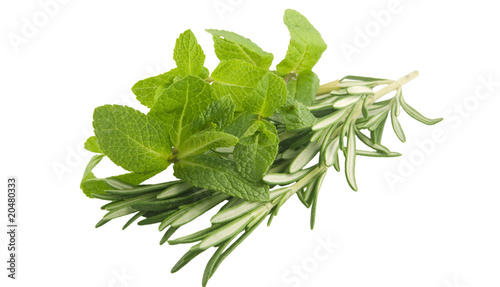 Mint and rosemary