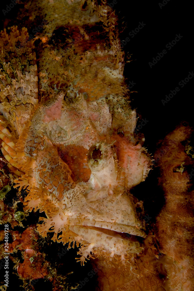 Naklejka premium just in time - warten was da kommt