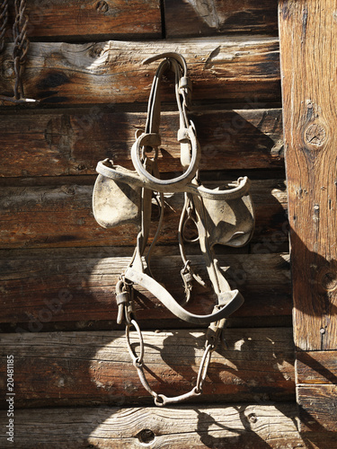 Hanging Bridle with Blinders