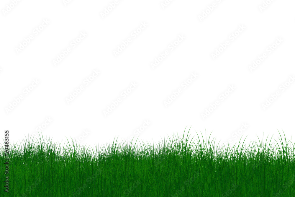 gras illustration gras illustration