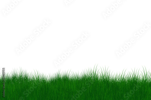 gras illustration