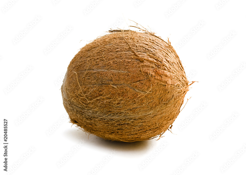 Coconut isolated on white Coconut isolated on white