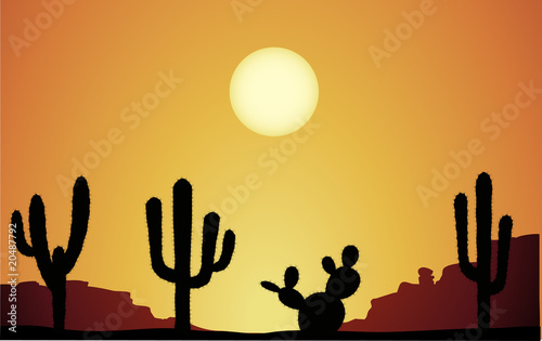 desierto + cactus