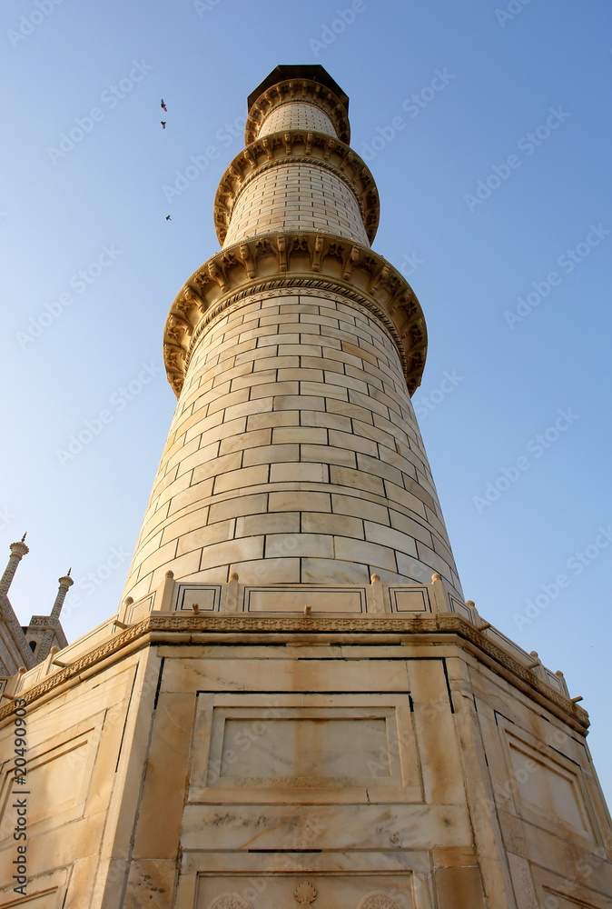Fototapeta premium Perspective of one of four Taj Mahal minaret´s