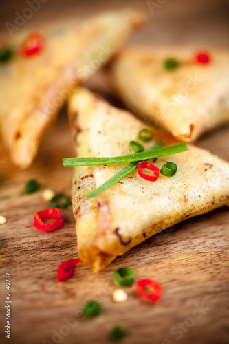 Obraz na płótnie Samosa w salonie