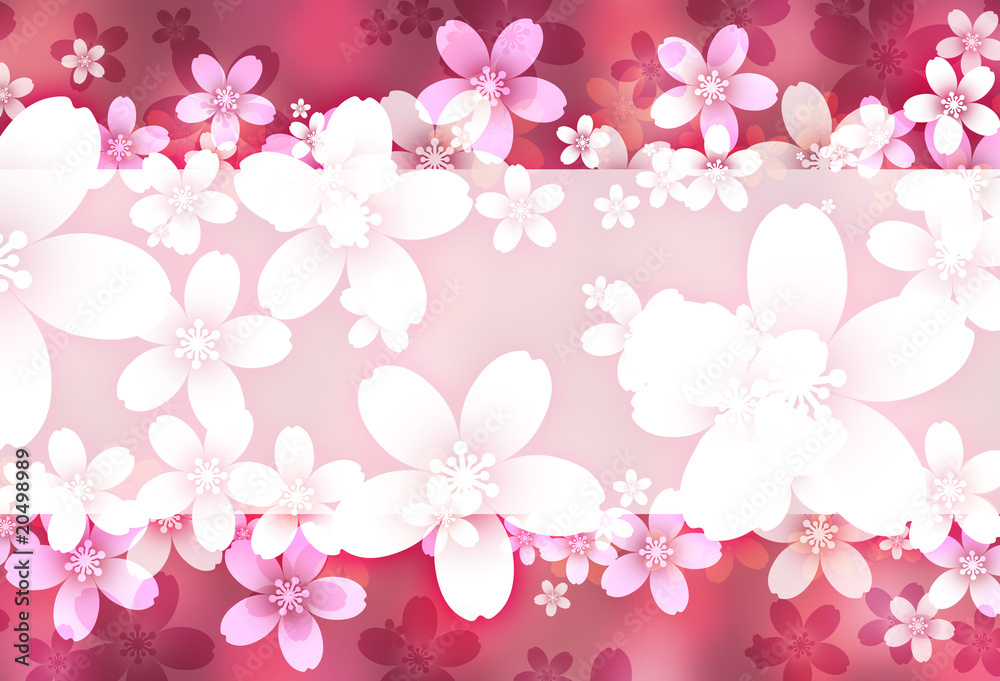 桜の背景 桜の背景