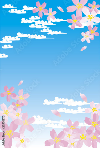Blue sky and cherry blossoms