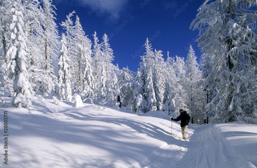 Winter im Nationalpark Bayerischer Wald