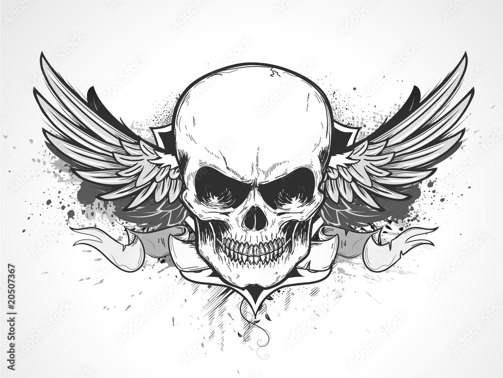 human skull human skull
