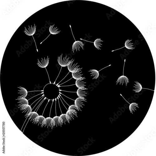 Pusteblume