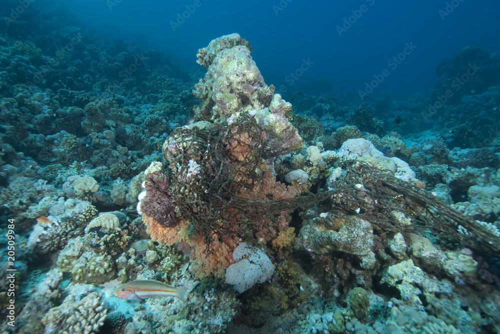 Fototapeta premium An old discarded fishing net over the coral reef.