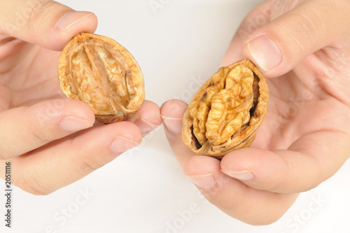 half walnut on hand