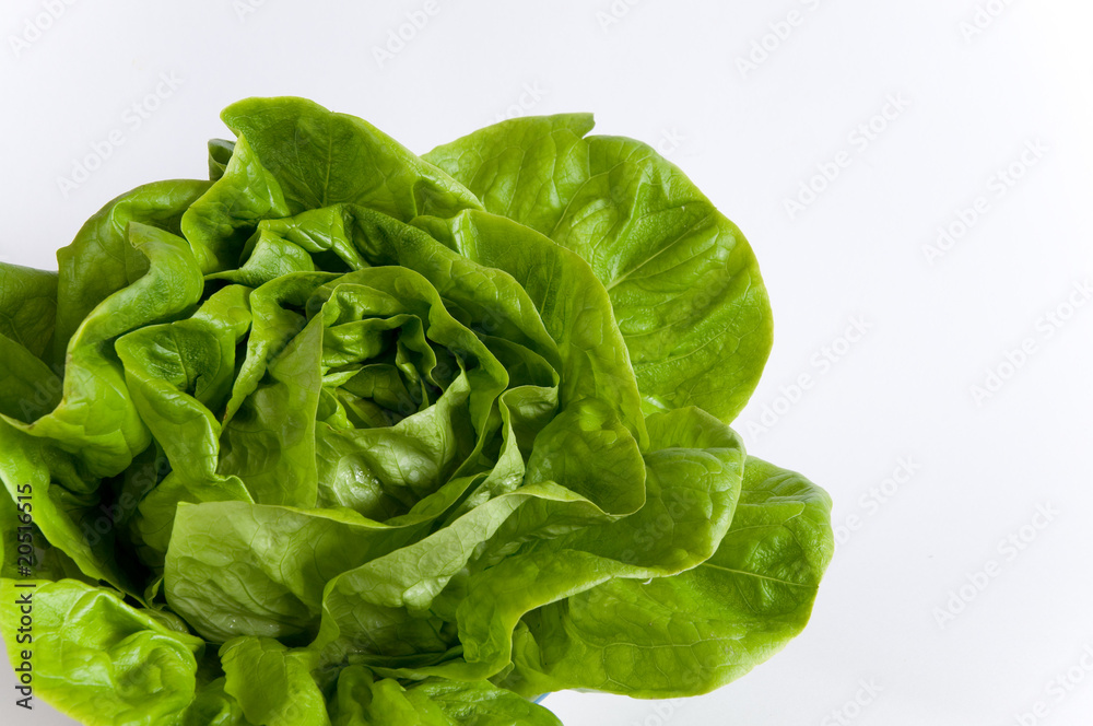 Salat Salat