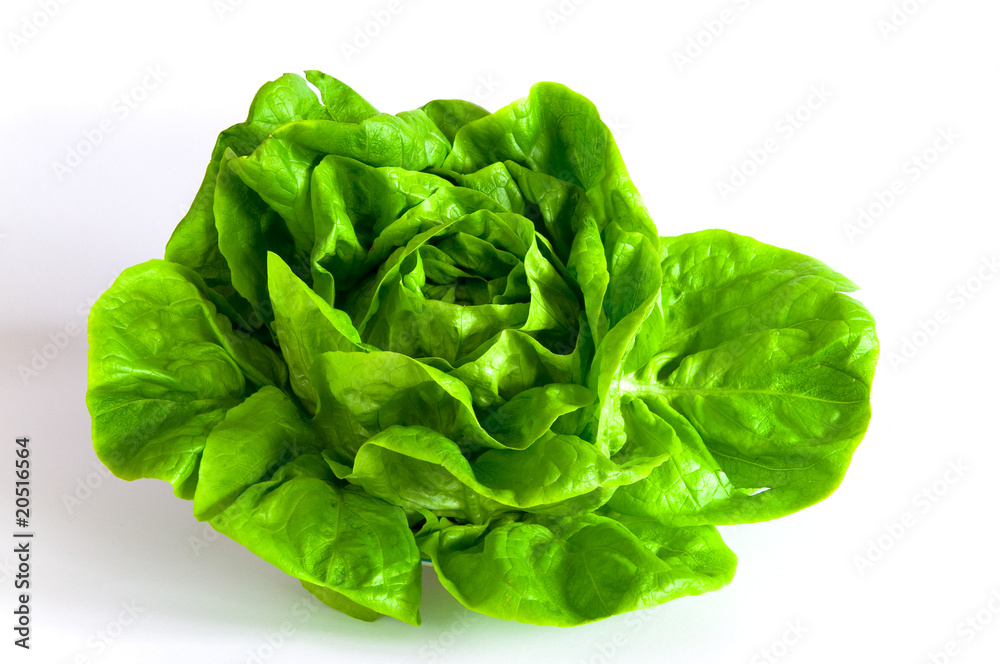 Salat