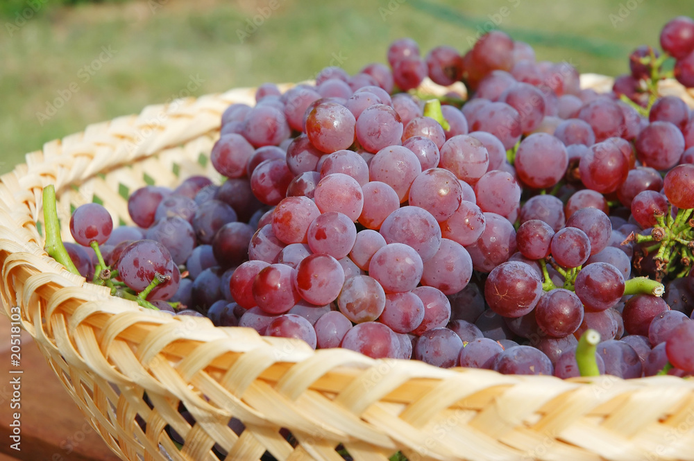 Grapes Grapes
