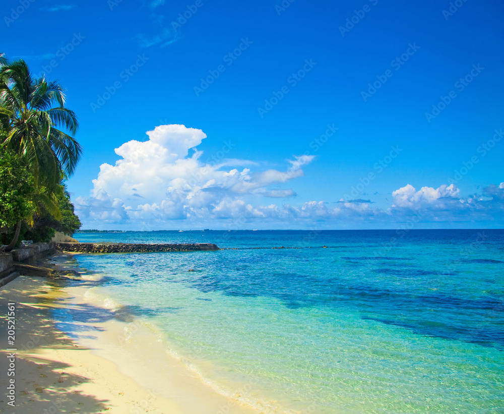 Fototapeta premium beach under sun